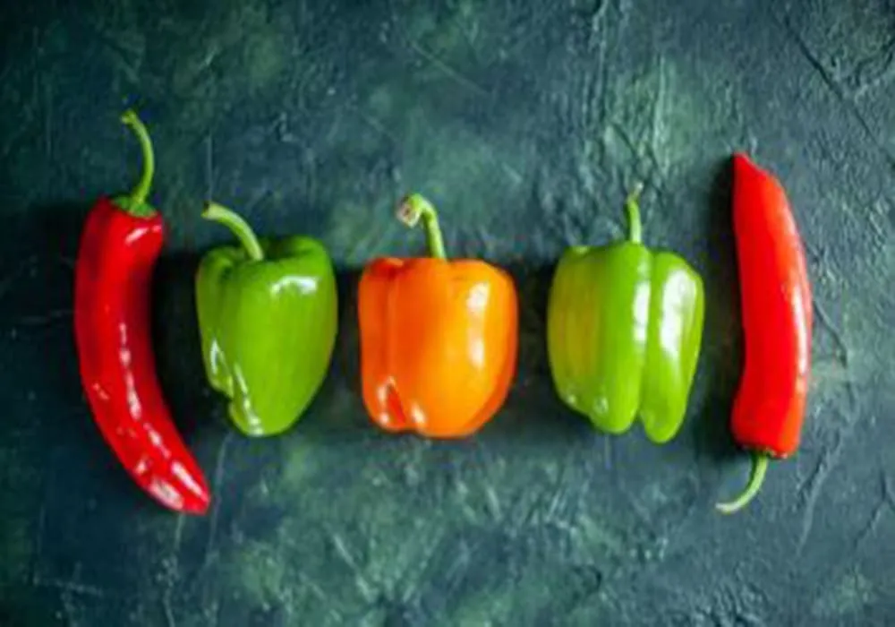 فلفل الوان زراعة مصر