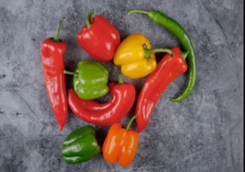 فلفل الوان زراعة مصر