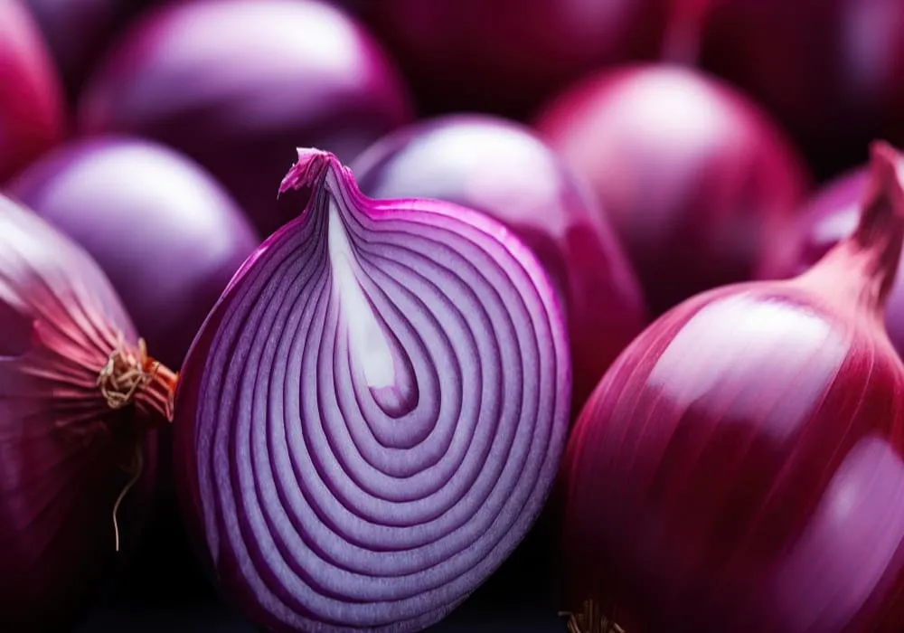 بصل زراعة مصر